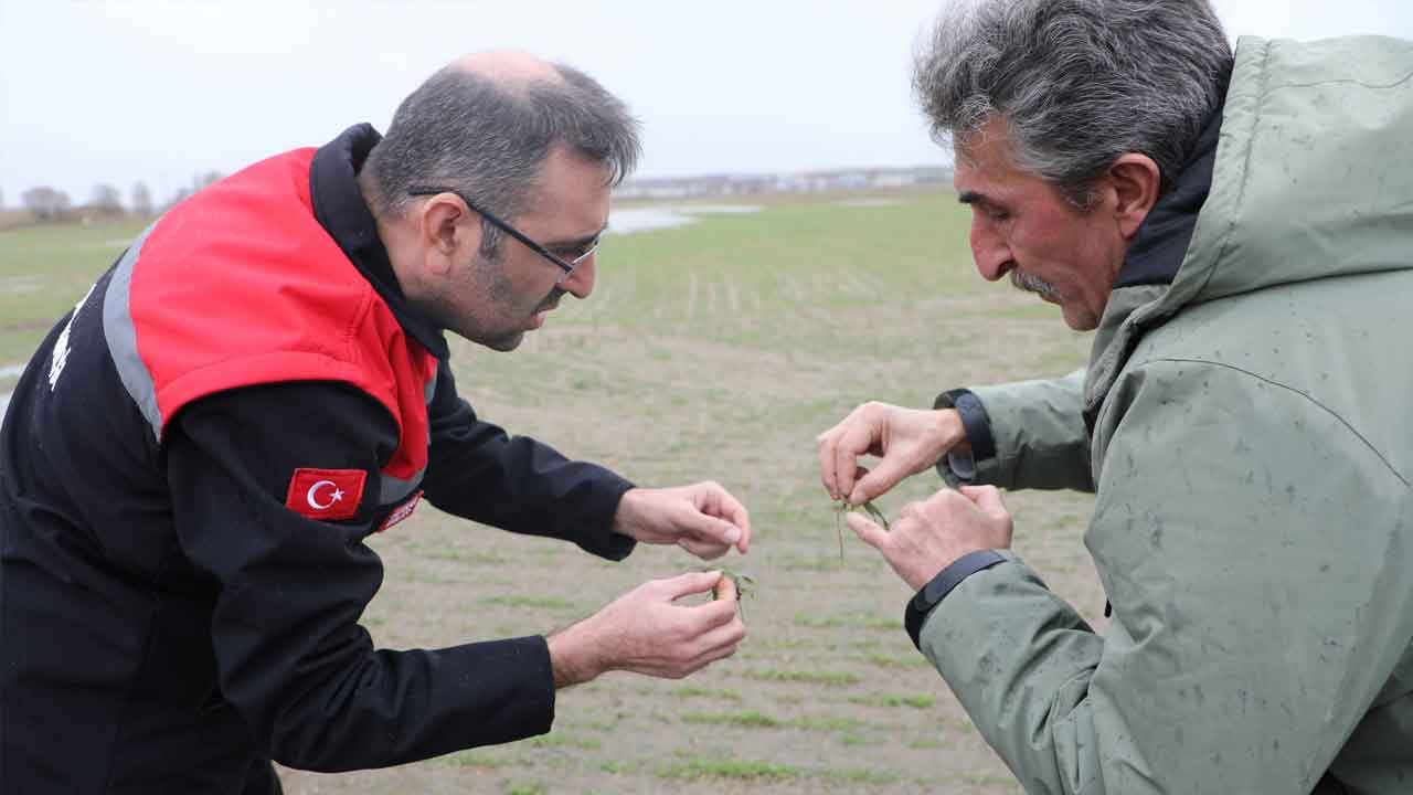 Uşak’ta Sel Sonrası Tarım Arazilerinde İnceleme
