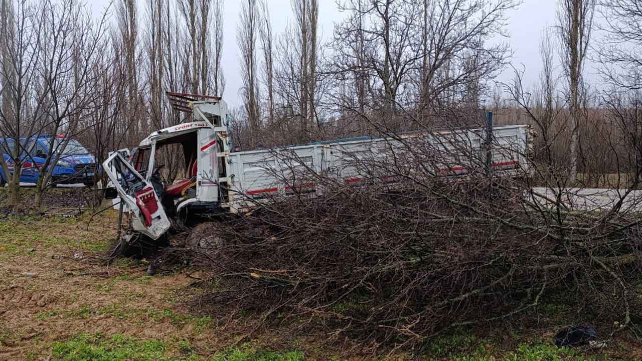 Uşak'ta kamyon ağaçlara çarptı, 4 yaralı