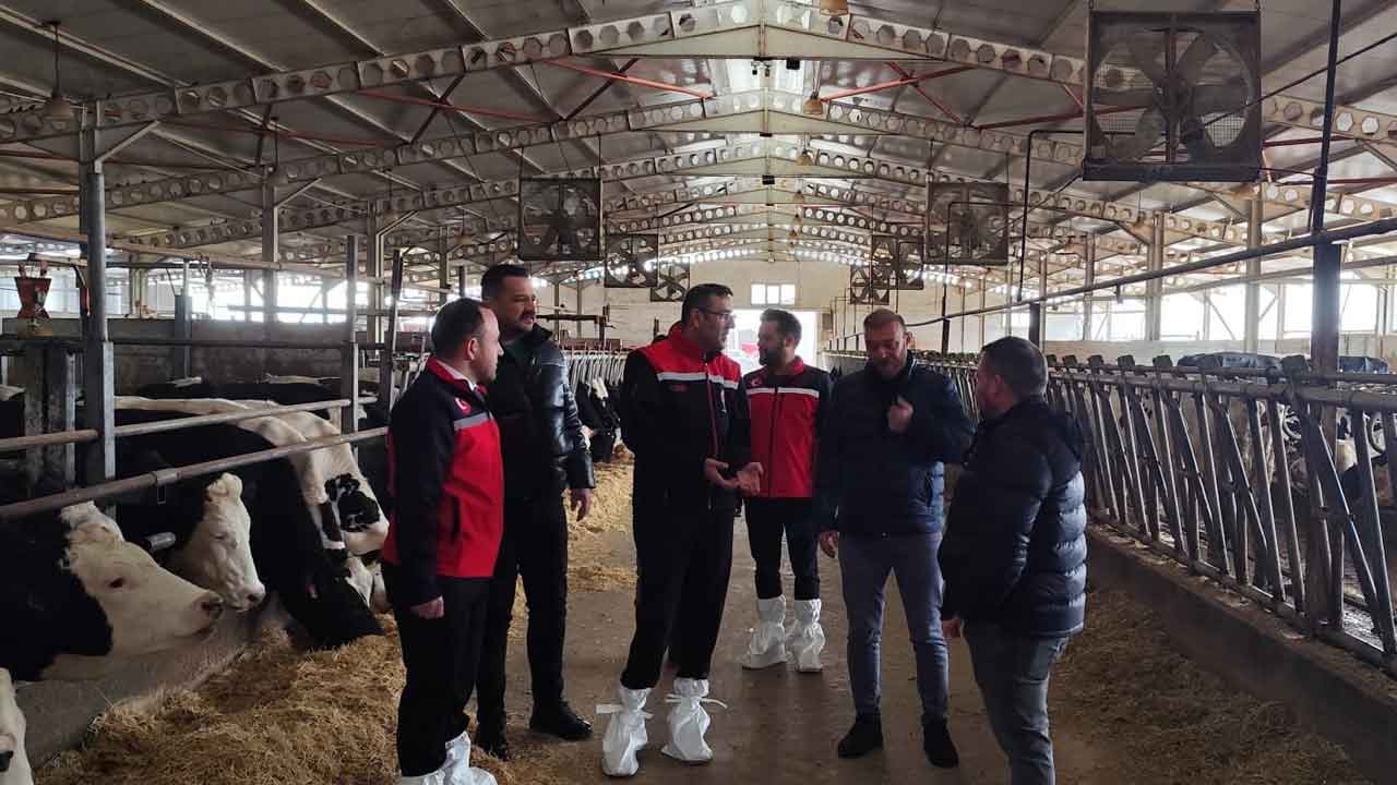 Ulubey’de Hayvancılığa Yakın Takip: Ari İşletmeler Mercek Altında