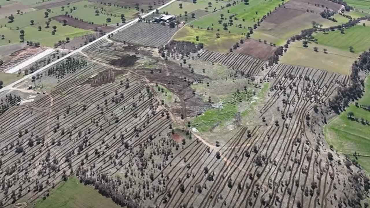 Uşak İl Tarım’dan Meralara Stratejik Dokunuş