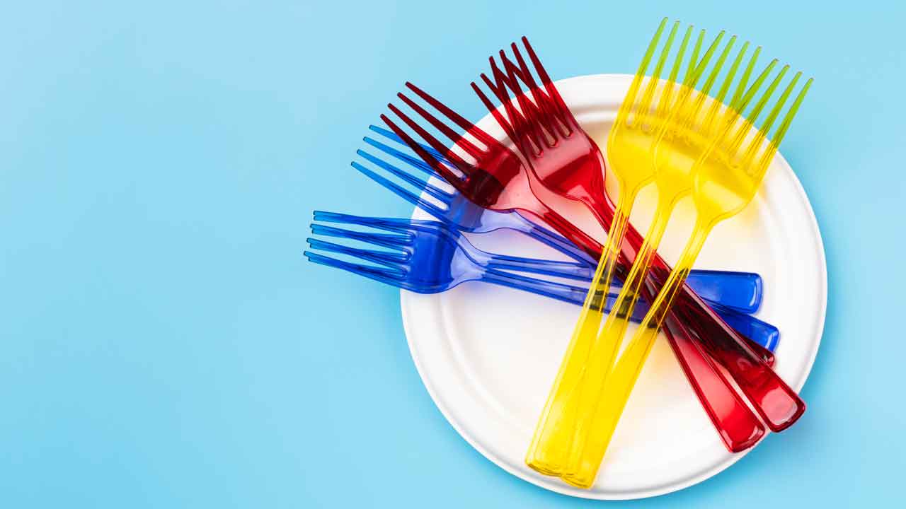 Sıfır Atıkta Yeni Dönem: Plastik Çatal Kaşık ve Tabakla Alakalı Yeni Düzenleme