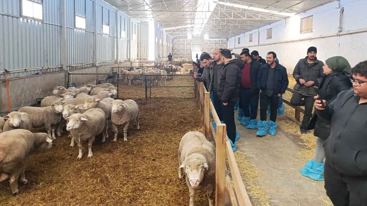 Uşak’ta Çiftçilere Uygulamalı Hayvancılık Eğitimi Verildi