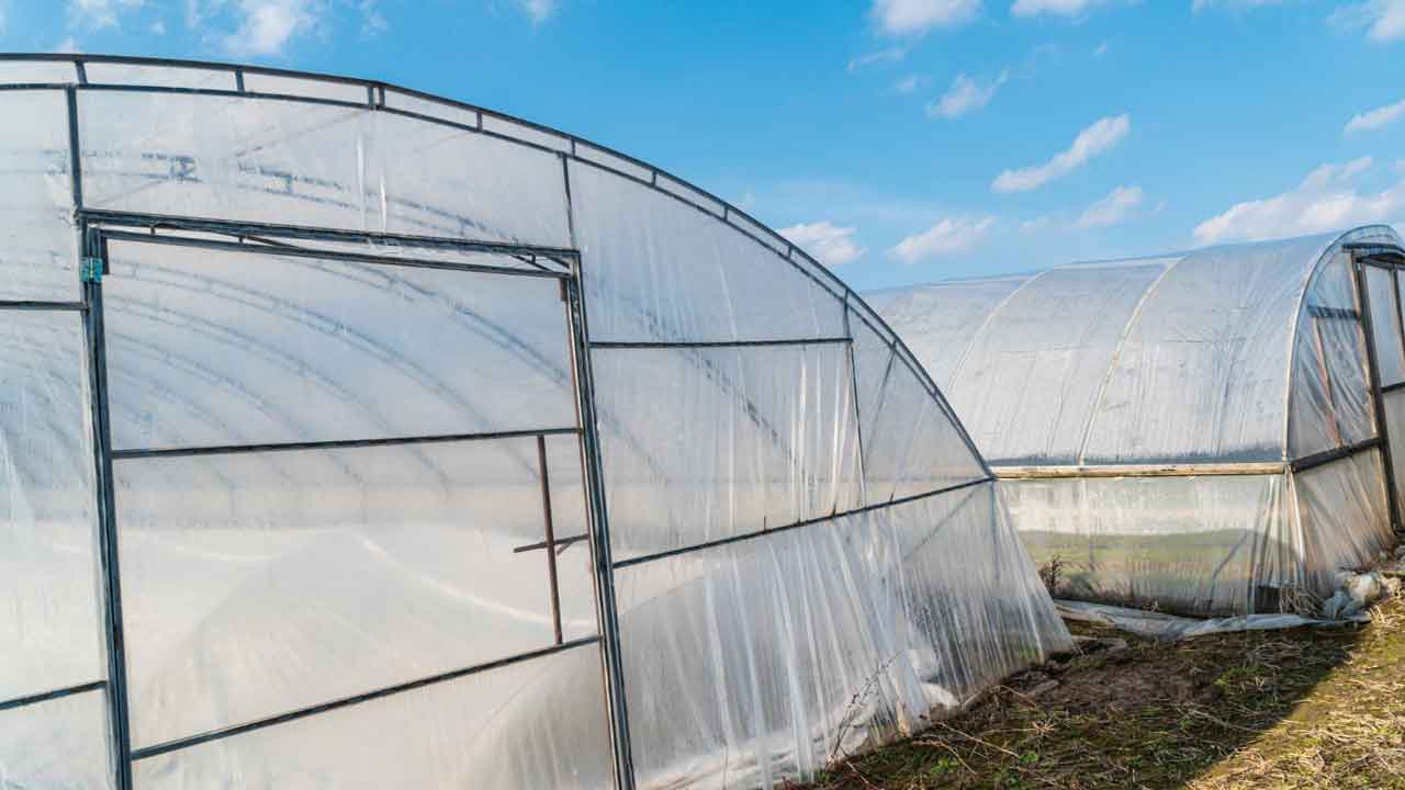 Uşaklı Üreticilere Destek: Sera Naylonu Projesi Başlıyor