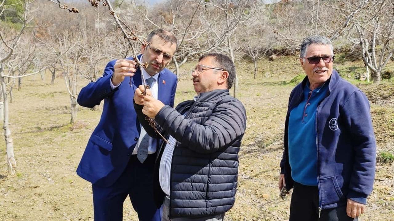 Uşak’ta Zirai Don Alarmı