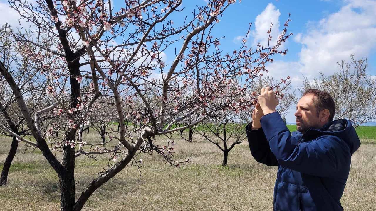 Uşak İl Tarım ve Orman Müdürlüğü’nde Zirai Don Mesaisi