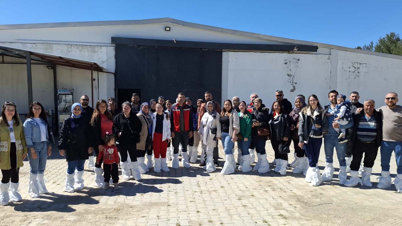 Uşak’ta Çiftçilere Sürü Yönetimi Detaylarıyla Anlatıldı