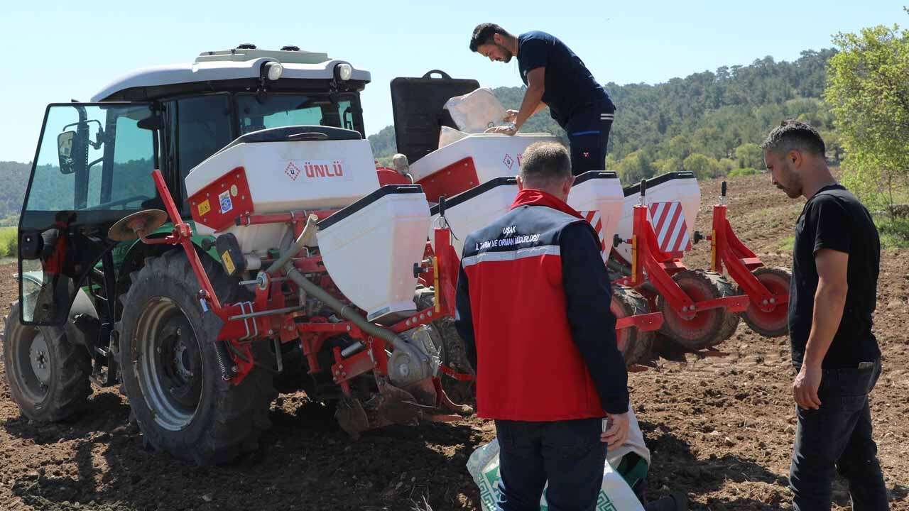 Uşak’ta 20 Bin Dekarlık Ayçiçeği Hedefi İçin Sahada Yeni Çalışma
