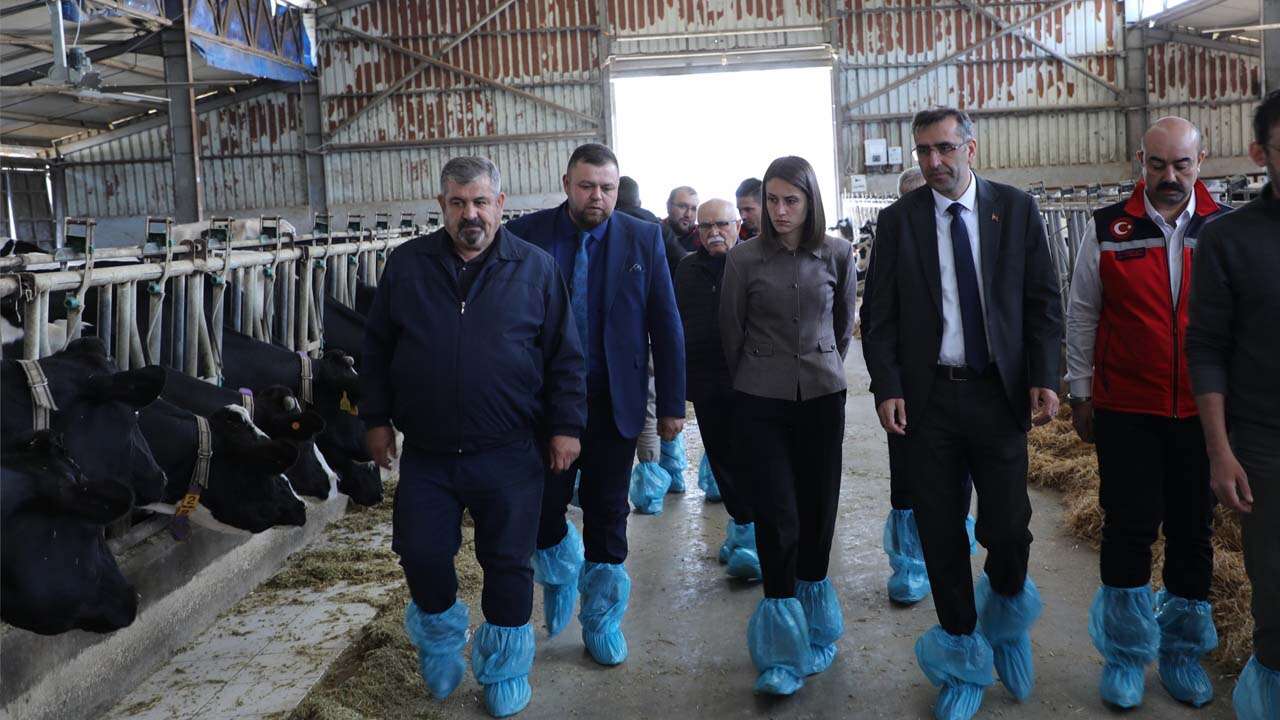 Sivaslı’da Ari İşletme Sayısı 5’e Çıktı
