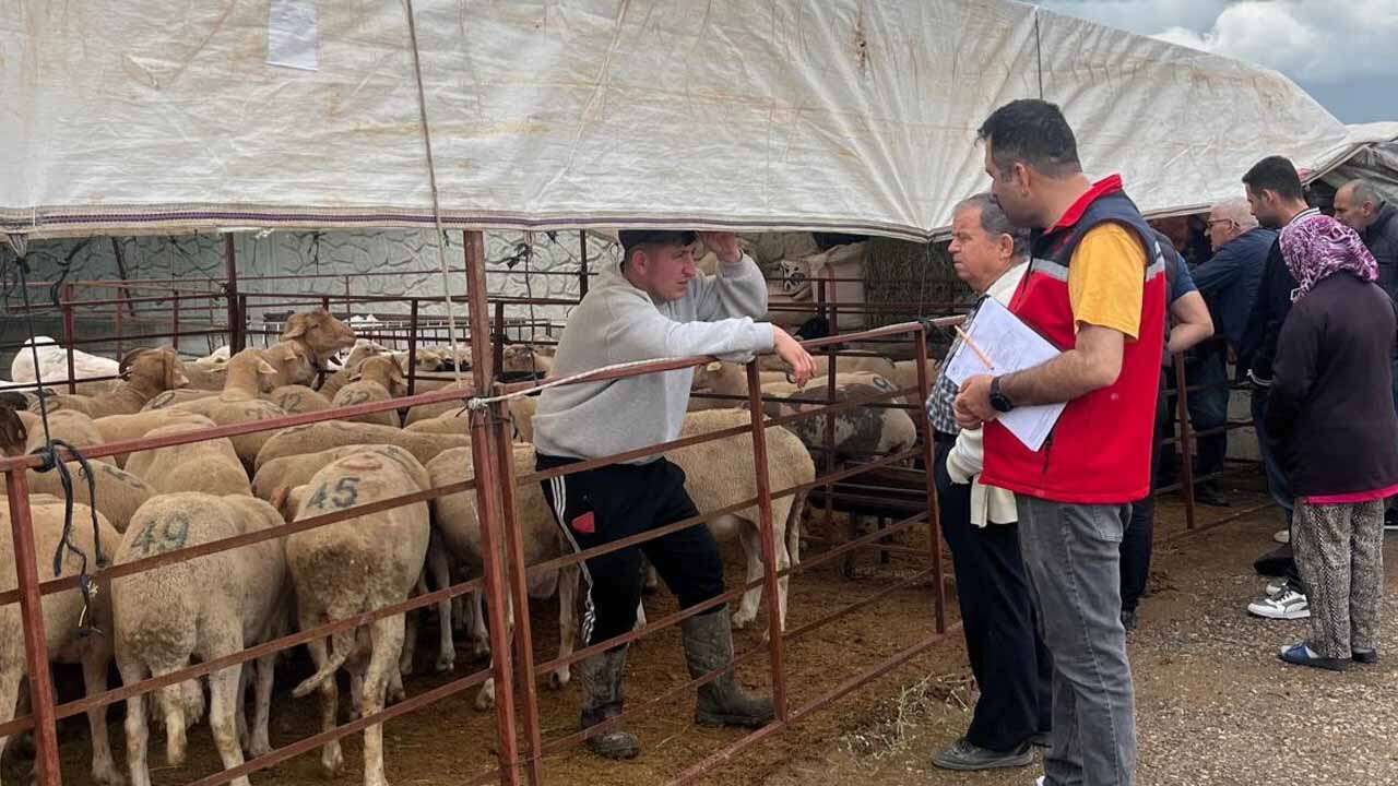 Uşak’ta Kurbanlıklar Tek Tek Kontrol Ediliyor