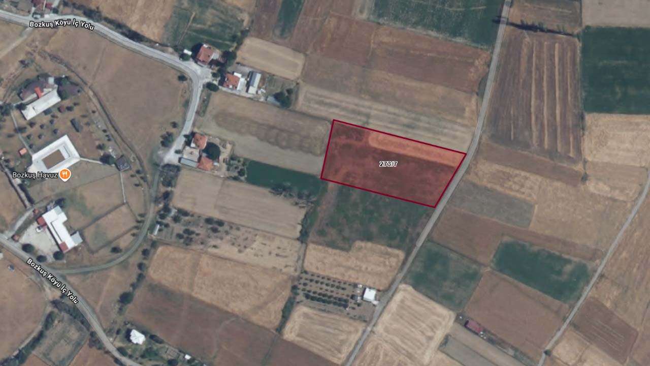 Bozkuş Köyü'ndeki 2 Tarla Mahkemeden Satışa Çıkıyor