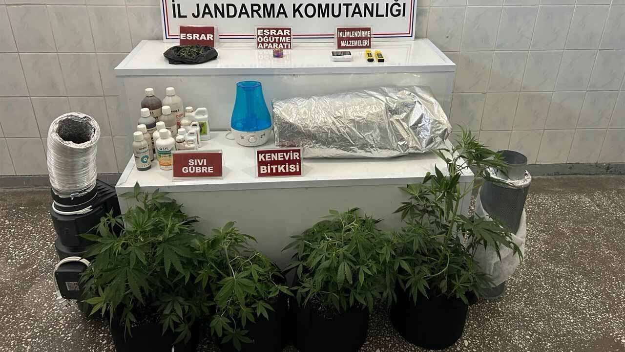 Uşak’ta Kenevir Yetiştirilen Eve Operasyon