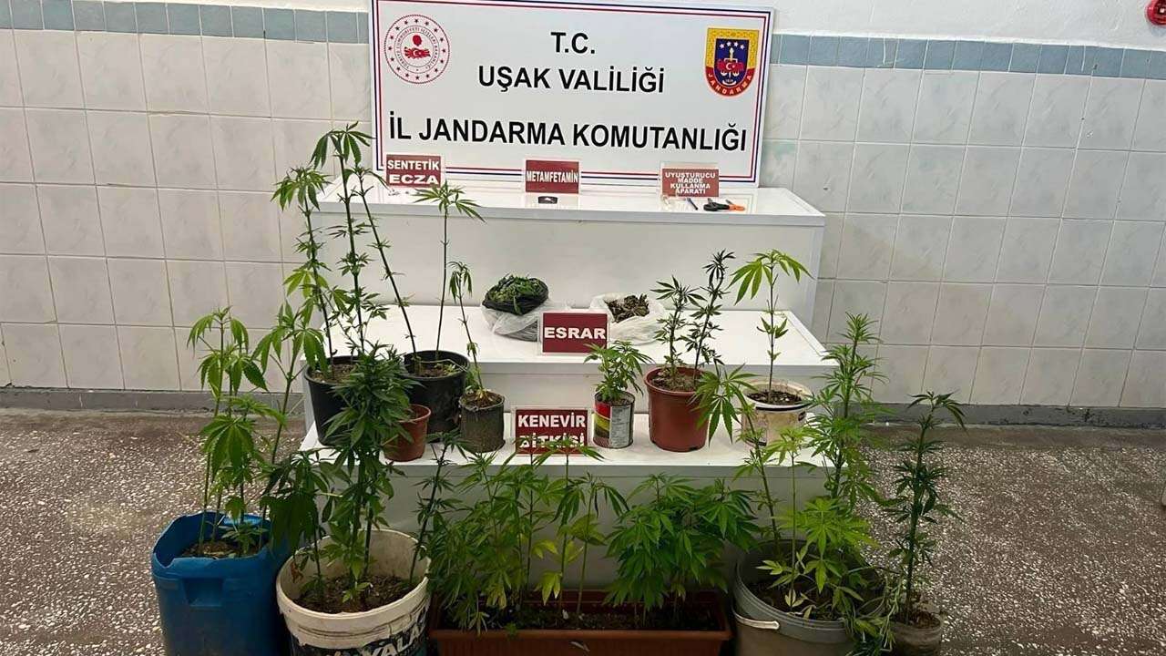 Uşak’ta Jandarmadan Uyuşturucu Operasyonu