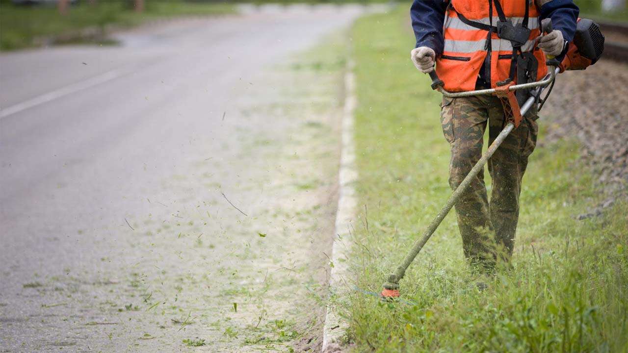 Uşak Orman İşletme Müdürlüğü 16 İşçi Alımı Yapacak
