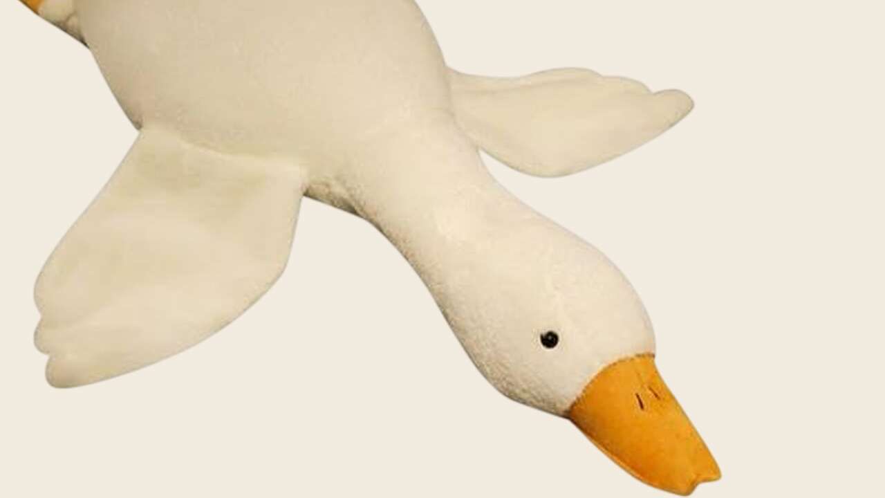 O Peluş Oyuncağa Satış Yasağı Geldi