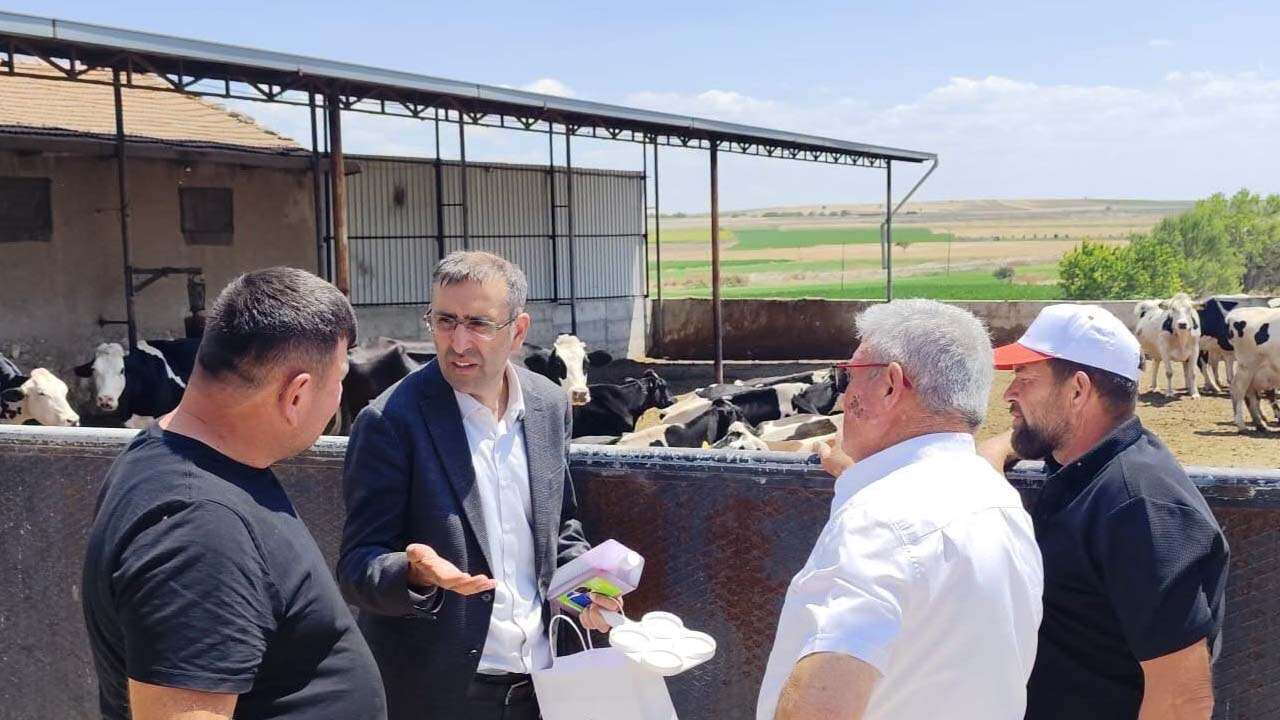 Uşak’ta Hayvancılığın Geleceği İçin Sahada Yoğun Mesai