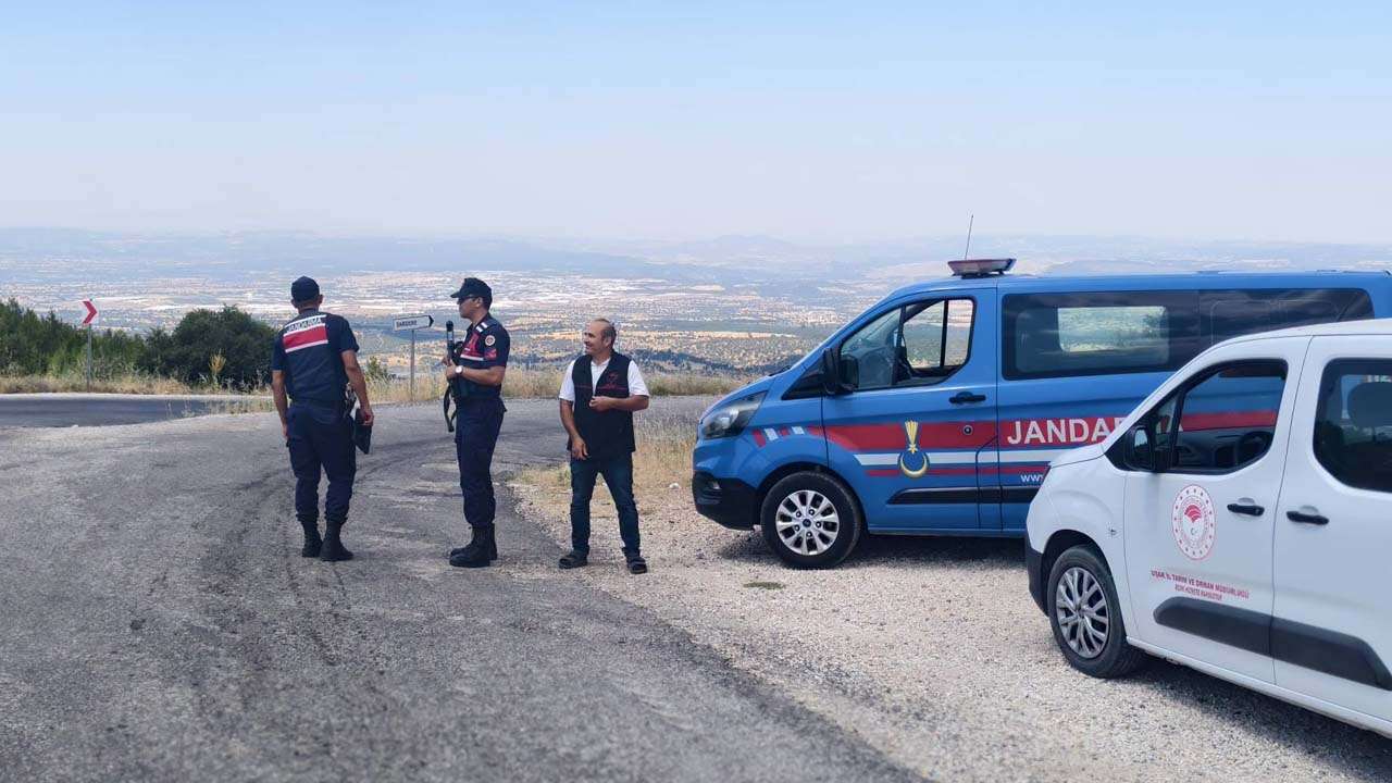 Uşak’ta Hayvan Hareketleri Mercek Altında