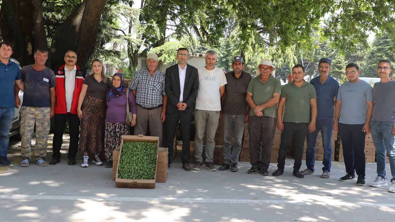 Uşak’ta Üreticilere Sebze Fidesi Dağıtıldı