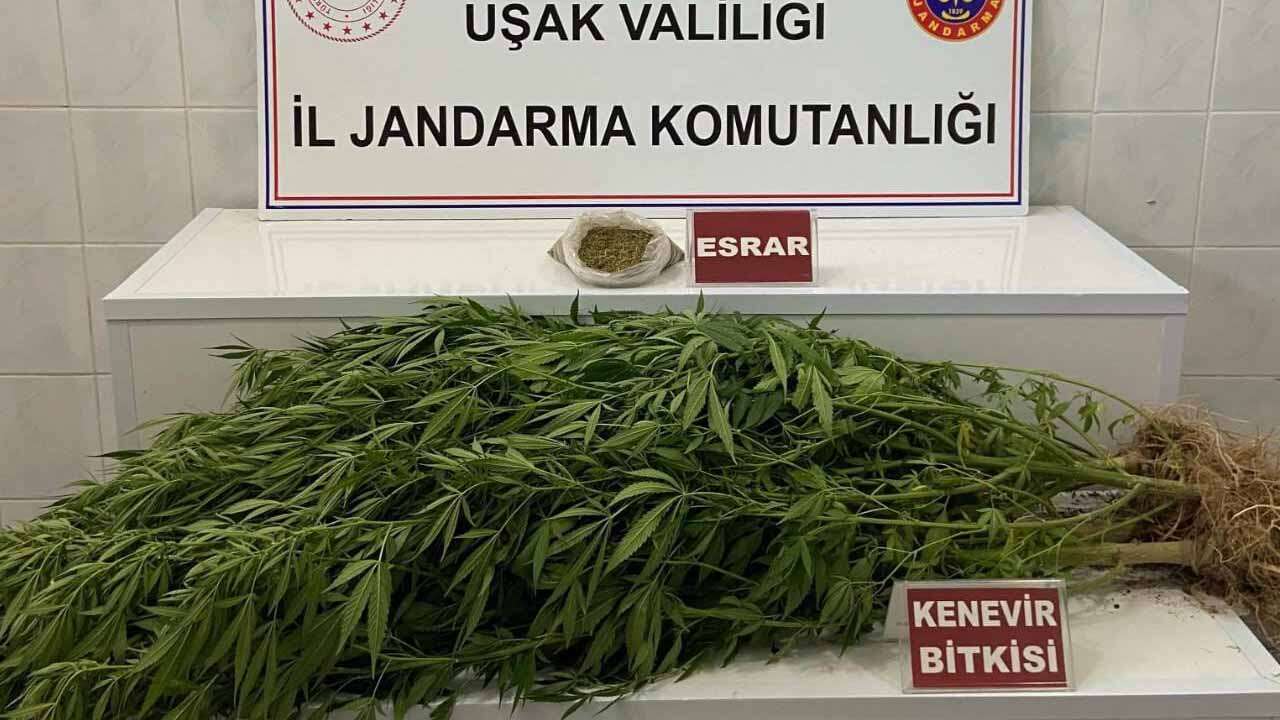 Uşak'ta Yeni Narkotik Operasyonu