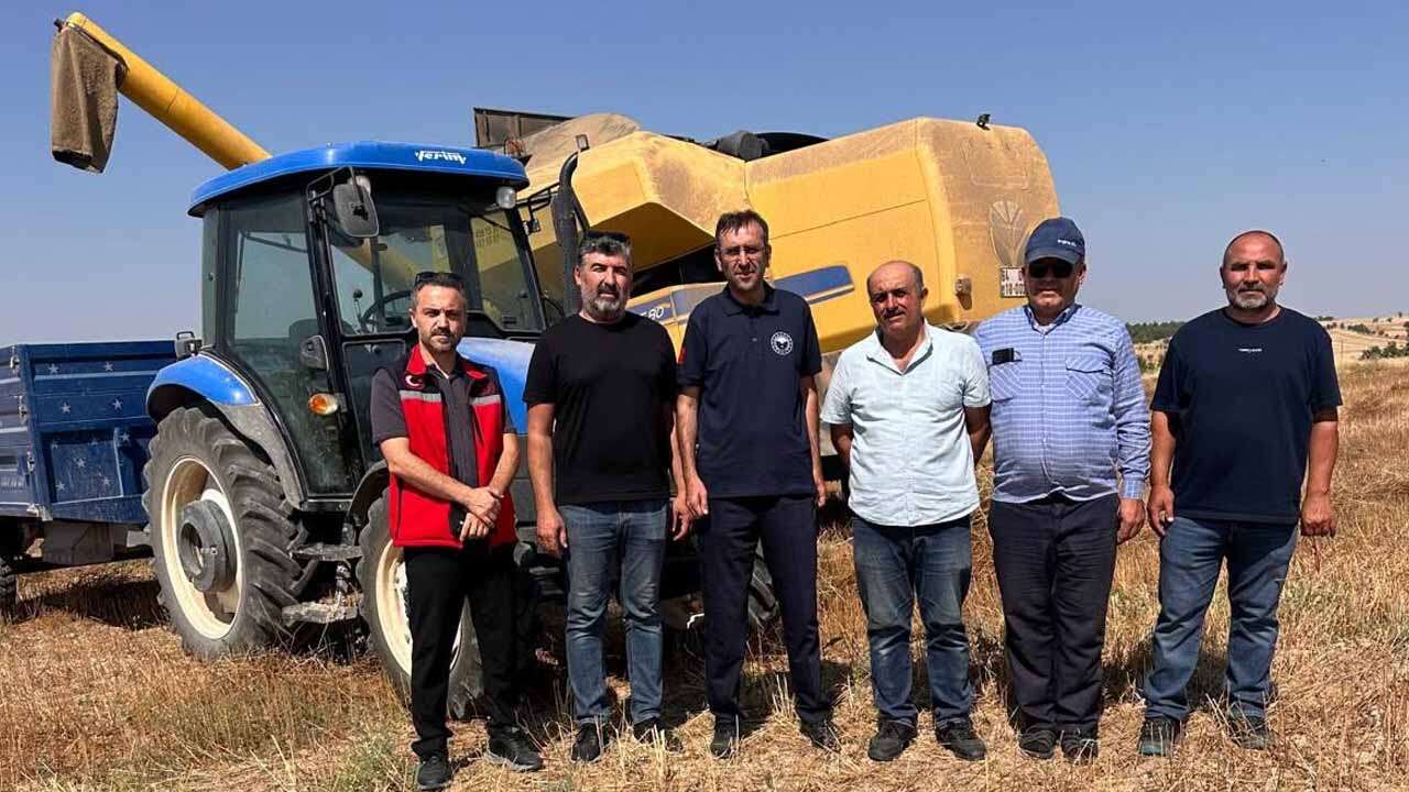 Uşak'ta Kişniş Hasadı Yerinde İncelendi