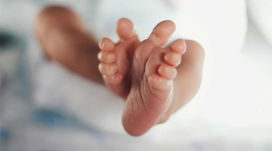 Bebek Bezi Yardımı Nasıl Alınır? Başvurusu, Şartları