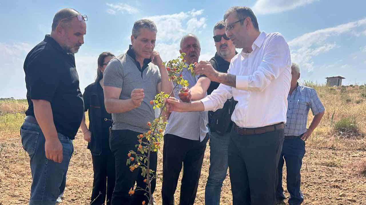 Uşak'ta Kadın Üreticilerin Emeği Meyvesini Veriyor