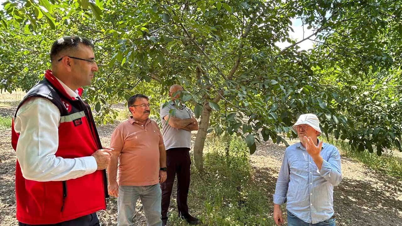 Uşak’ta Ceviz Bahçelerinde Verimli Su Kullanımı İçin Sahaya İndiler