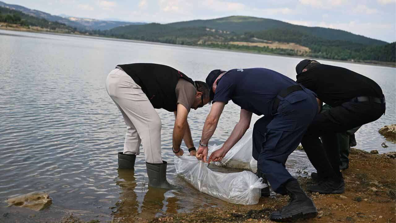 Uşak’ta 433 Bin Sazan Yavrusu Göletlere Bırakıldı