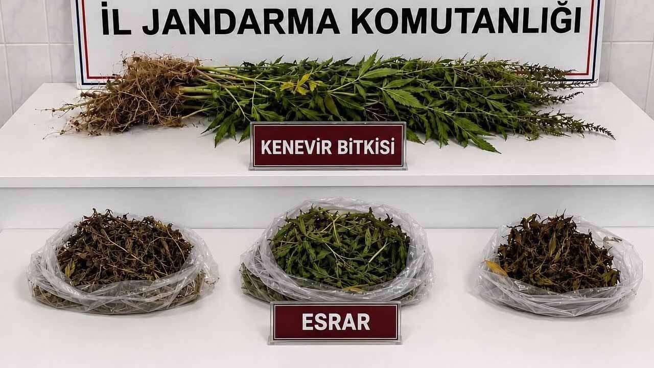 Uşak’ta İki Eve Baskın! Kenevir, Esrar, Tütün ve Makaron Bulundu