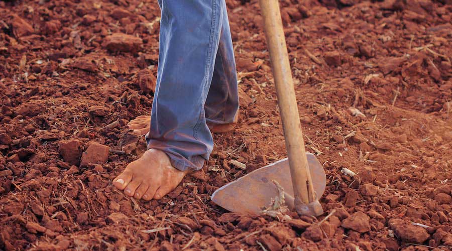 Çiftçi Borç Yapılandırma Şartları Nelerdir?