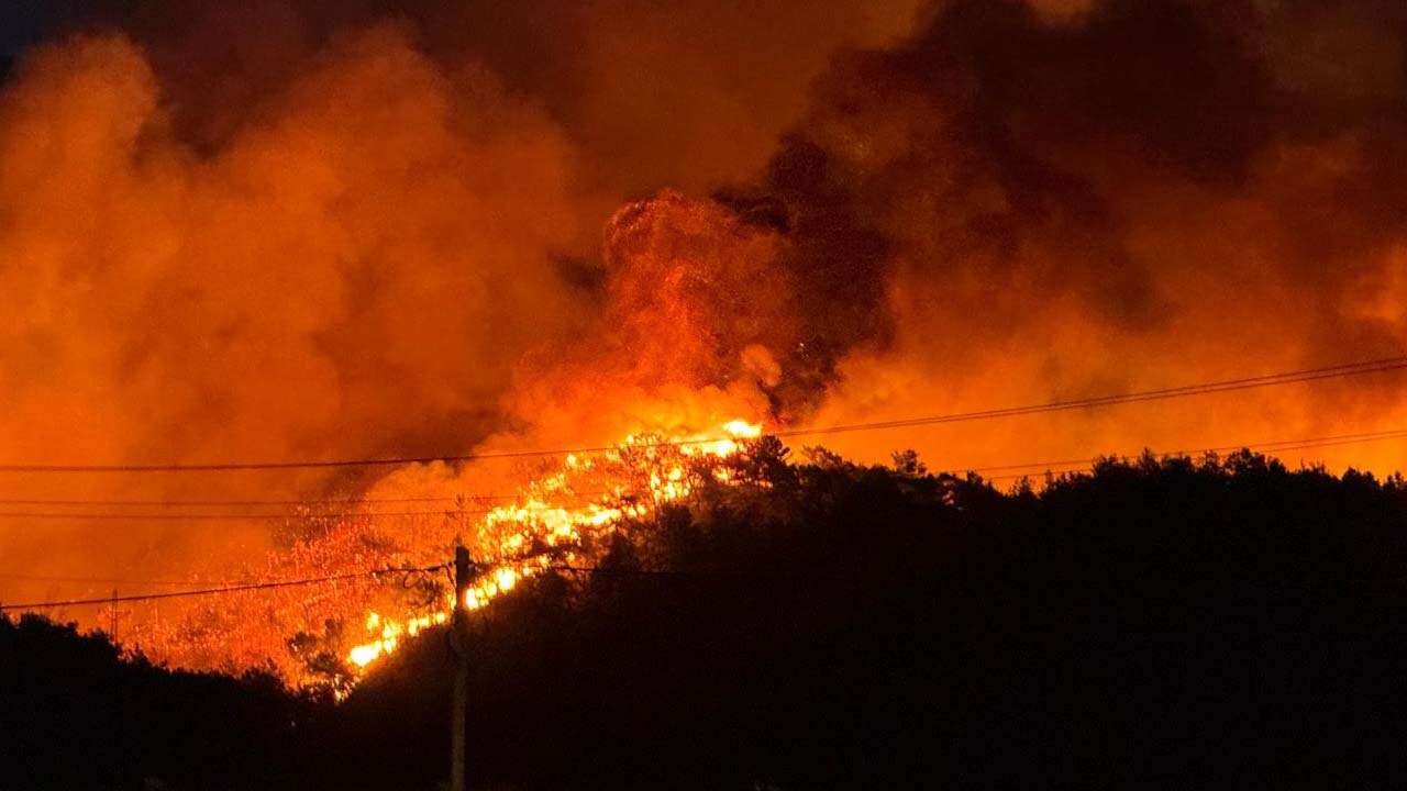Uşak'ta Orman Yangını Riski Uyarısı