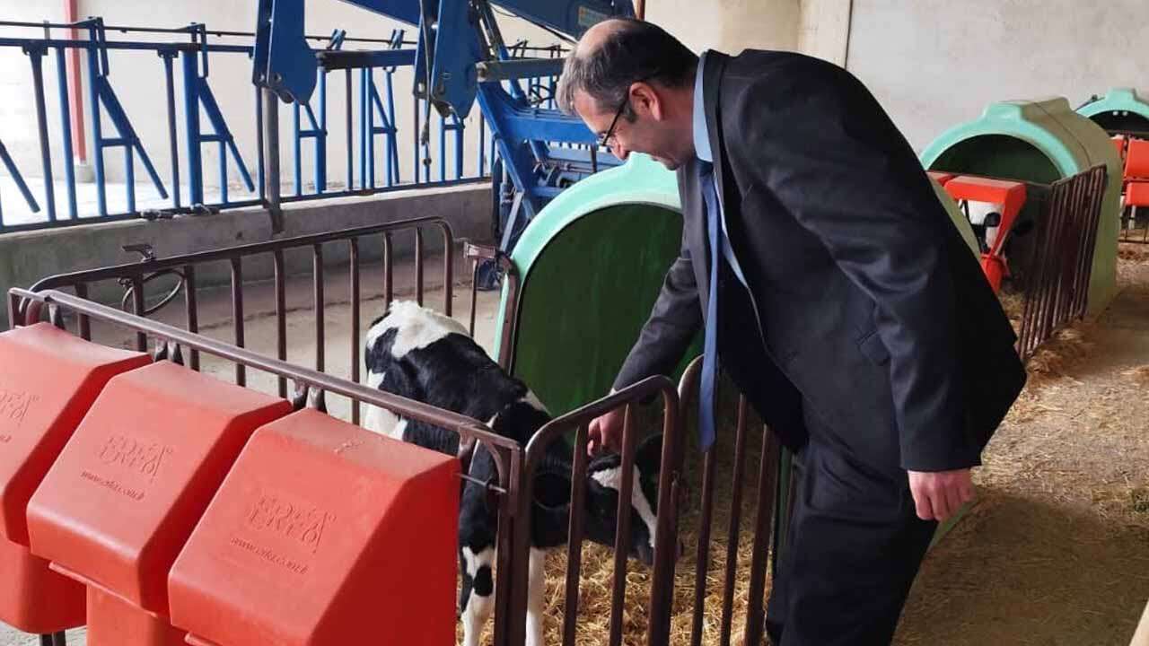 Uşak’ta Ari İşletme Sayısı Artıyor