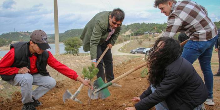 Uşak Belediyesi, Yeşil Karağaaç Mesire Alanına 11 bin fidan dikti