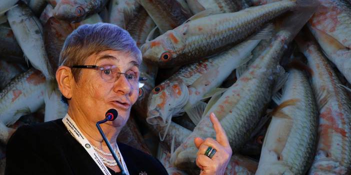Uşaklılar taze balık yemek için Prof. Dr. Canan Karatay’ın önerisine kulak verin