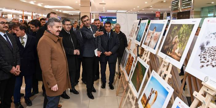 Uşak'ta "13. Tarım Orman ve İnsan" fotoğraf sergisi açıldı