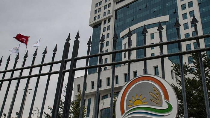 Tarım ve Orman Bakanlığı’na sözleşmeli personel alınacak! Uşak için kontenjan belli oldu