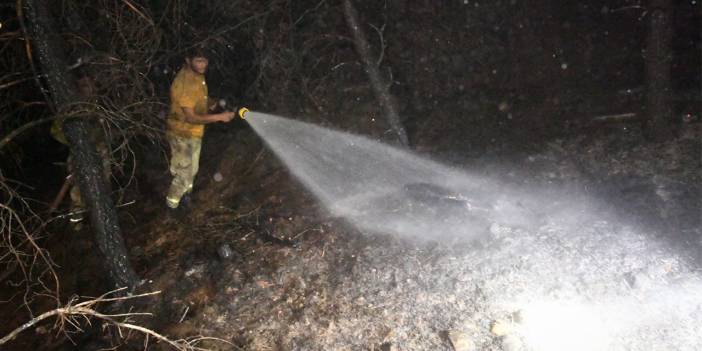 Erice köyündeki yangın kısmen kontrol altına alındı