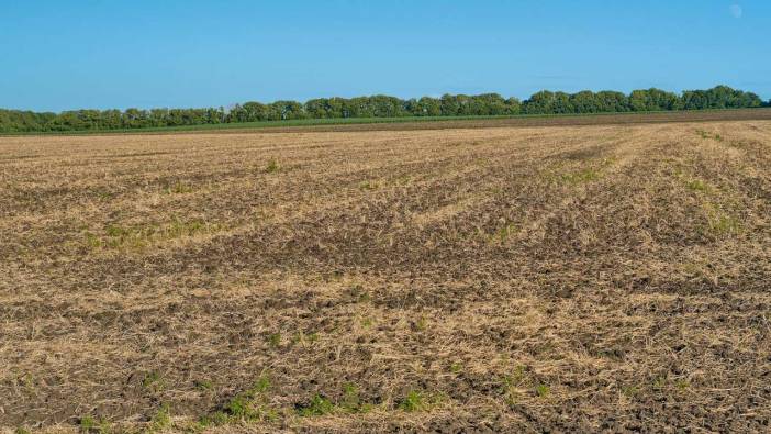 Sivaslı'da 21 Bin 549 Metrekare Tarla Mahkemeden Satılık