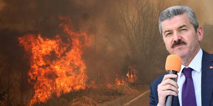 Vali Ergün: Uşak'taki 35 yangında 1179 hektar ormanlık alan zarar gördü