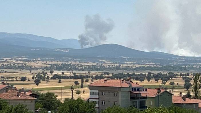 Hanoğlu köyü yakınlarında yangın çıktı