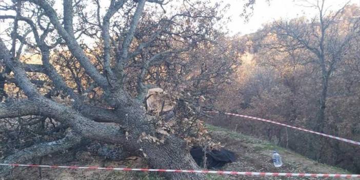 Uşak'ta kestiği ağacın altında kalan Seyhan Ersöz öldü