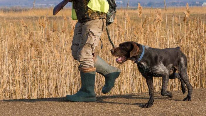 Uşak’ta Av Köpekleri Mera Yarışması Yapılacak