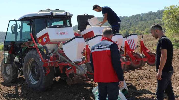 Uşak’ta 20 Bin Dekarlık Ayçiçeği Hedefi İçin Sahada Yeni Çalışma
