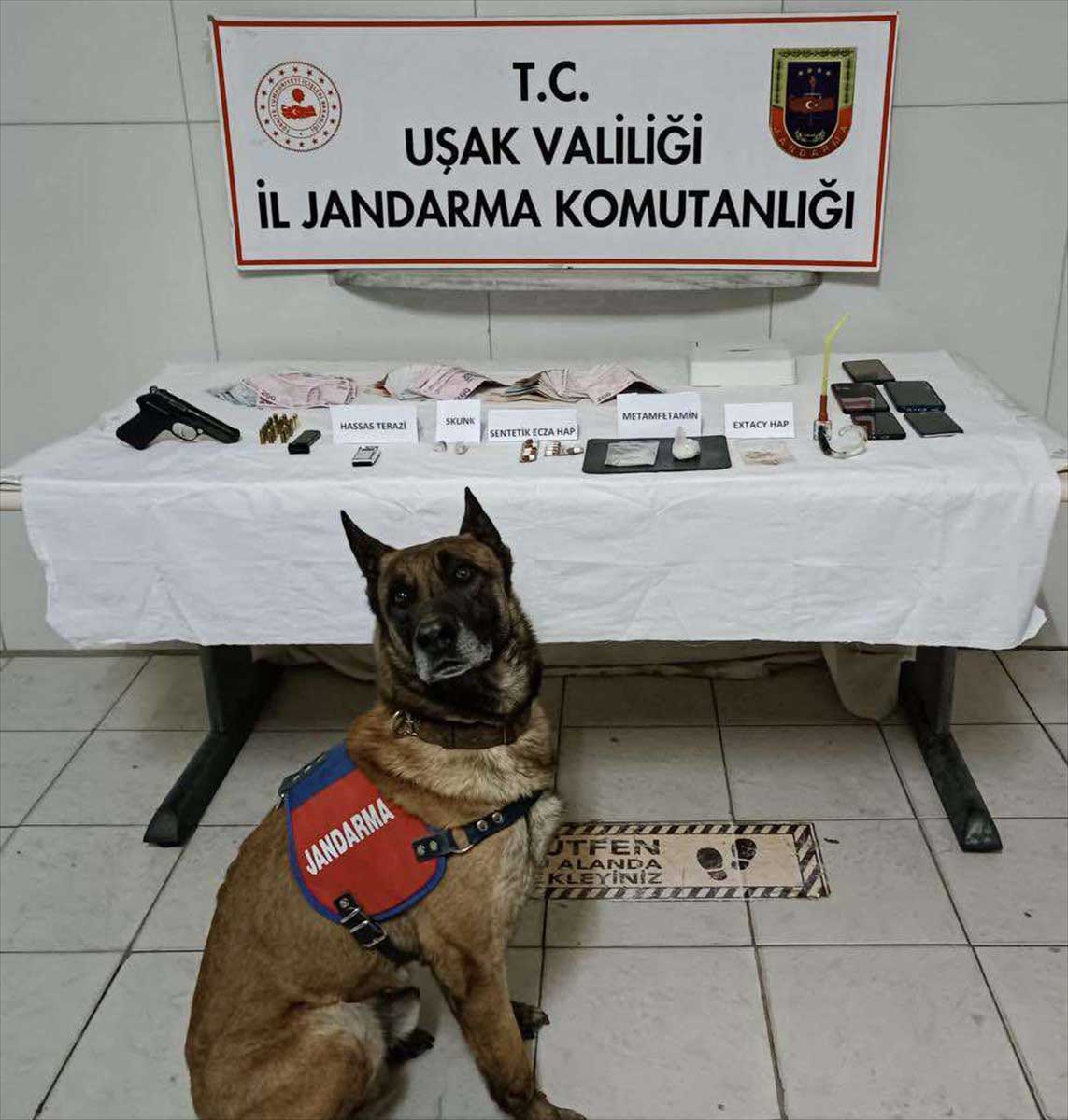 jandarma-narkotik-kopegi-torun.jpg