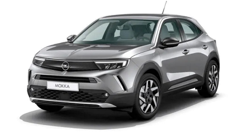 mokka.jpg