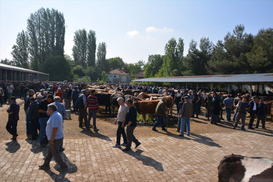 usak-kurban-hayvan-pazari-1.jpg