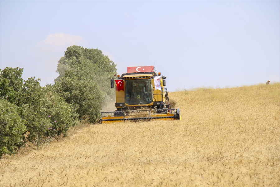 aa-20230712-31658369-31658366-usakta-70-bin-hektar-alanda-bugday-hasadi-basladi.jpg