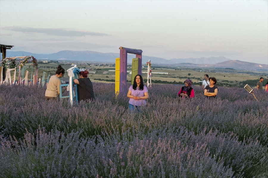 aa-20230713-31666474-31666473-usakta-lavanta-uretim-alani-970-dekara-yukseldi.jpg