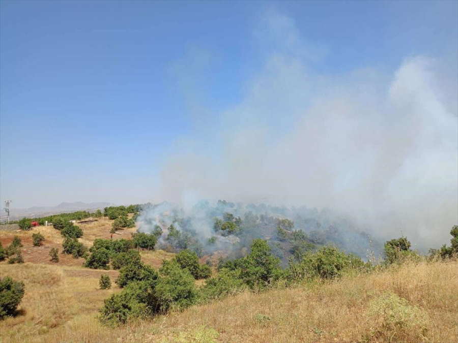usakta-meselik-alandaki-yangin-sonduruldu-1.jpg
