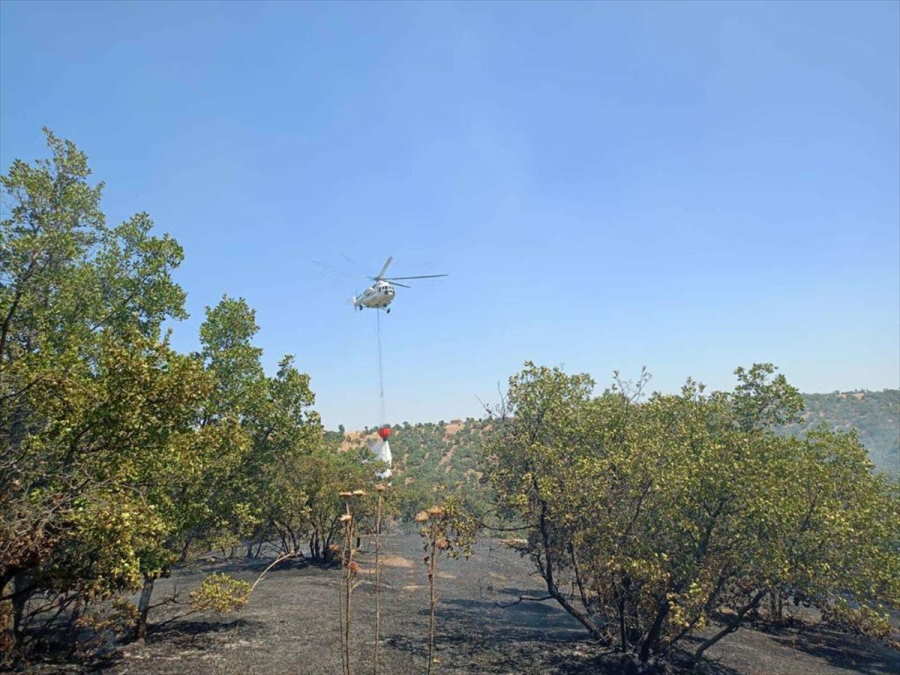 usakta-meselik-alandaki-yangin-sonduruldu-4.jpg