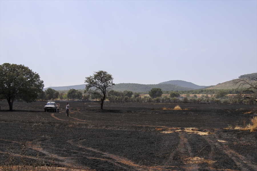 aa-20230817-31937898-31937890-usakta-bugday-ekili-tarim-arazisinde-cikan-yangin-sonduruldu.jpg